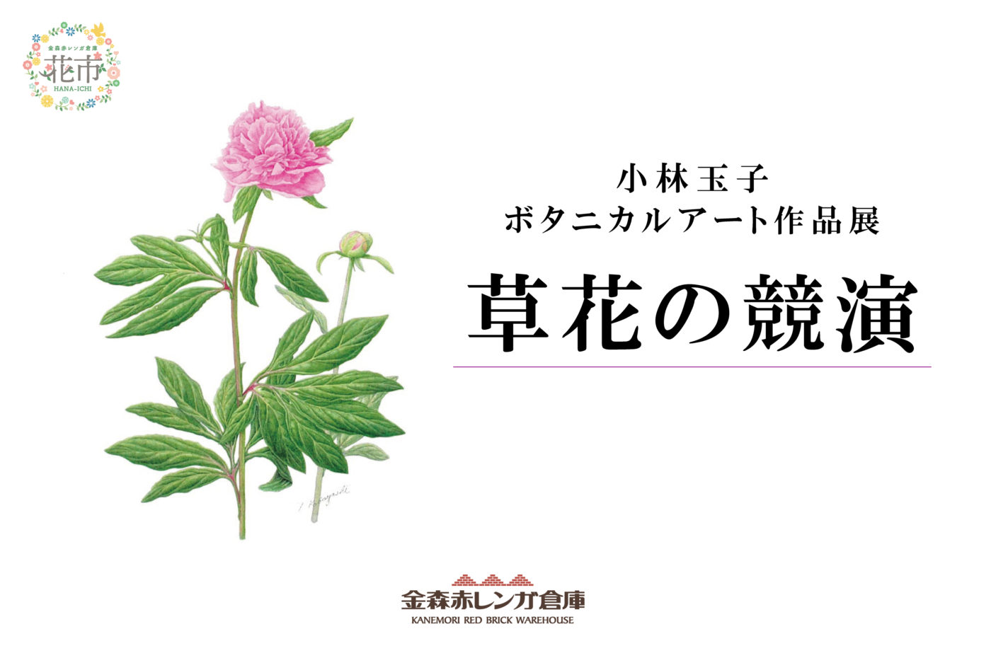 花市2025「ボタニカルアート作品展～草花の競演～」 | | 金森